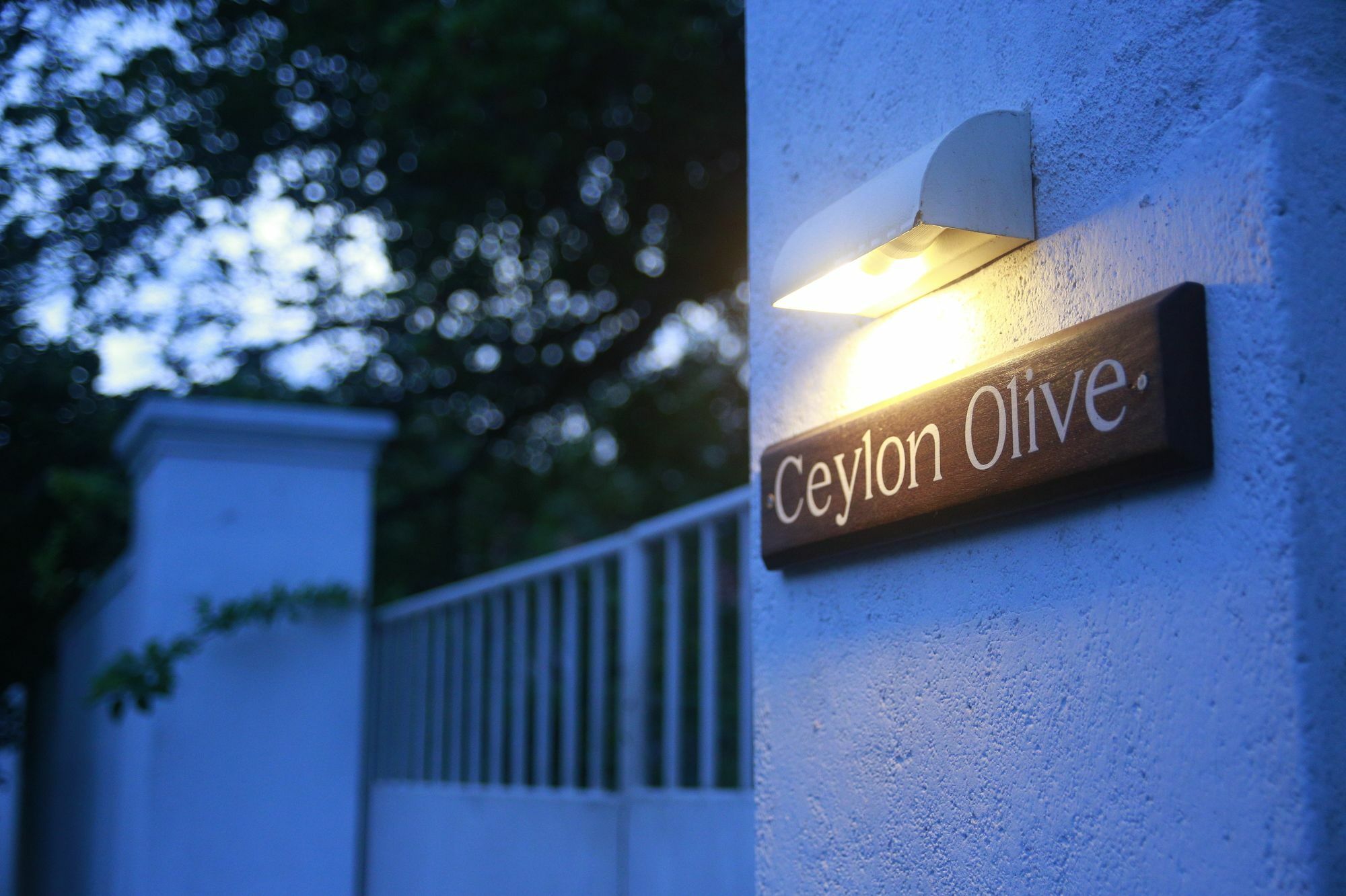 Ceylon Olive 高尔 外观 照片